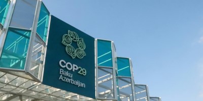 Making sense of COP29