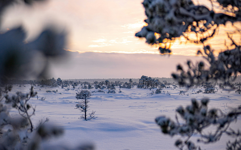 December: A strong end to 2025